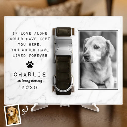 Custom Photo Collar Plaque With Stand - Personalized Pet Memorial Sympathy Gifts For Dogs, Cats - Until We Meet Again In Heaven