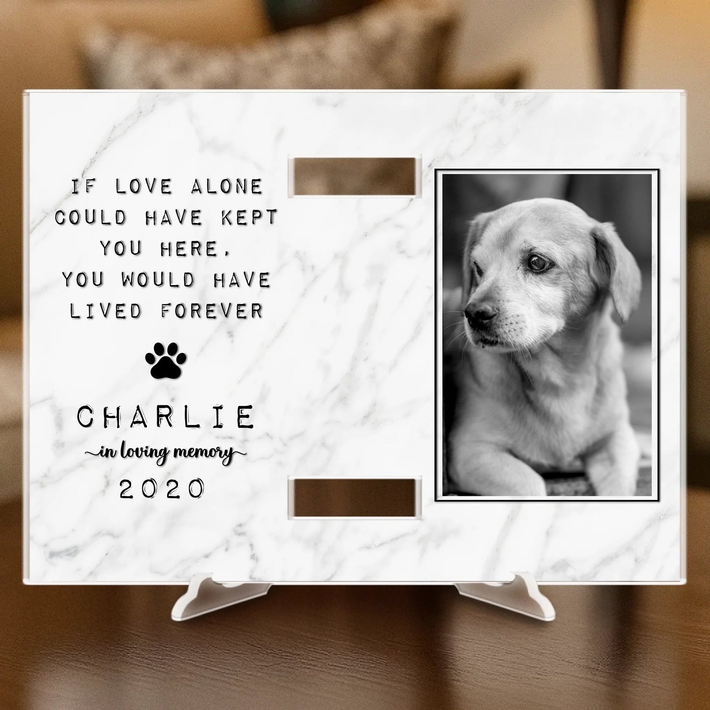 Custom Photo Collar Plaque With Stand - Personalized Pet Memorial Sympathy Gifts For Dogs, Cats - Until We Meet Again In Heaven